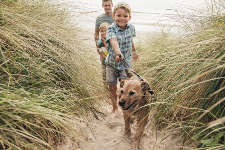 Walking The Dog At The Beach